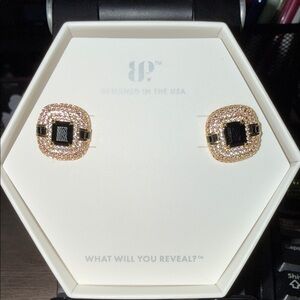 Sparkling Gold and Black Stud Earrings